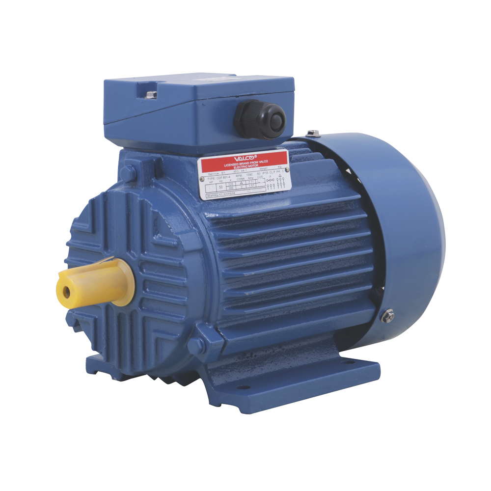 Motor Eléctrico Valco  3/4hp 2p 220v Ip-44 Serie Ycl