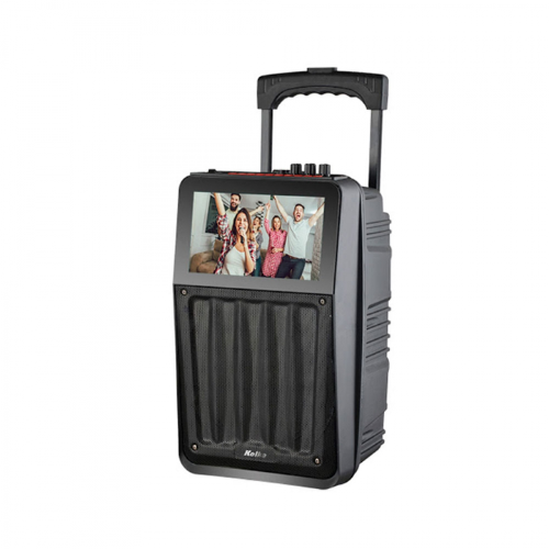Parlante Inalambrico Sing 8" Kpb-395